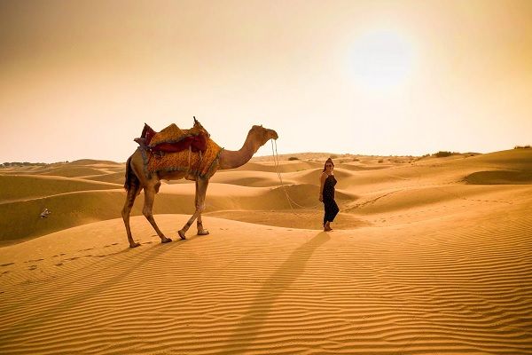 one hour camel safari tour