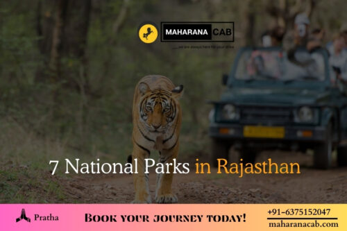 7 National Parks in Rajasthan