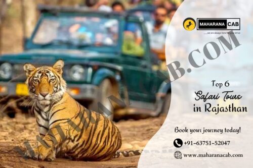 Safari Tours in Rajasthan