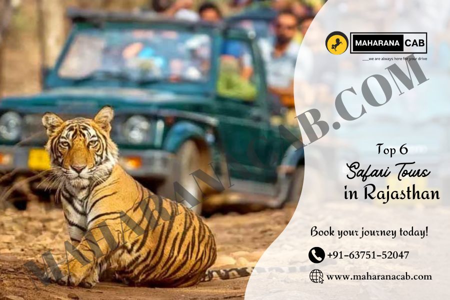 Safari Tours in Rajasthan